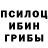Псилоцибиновые грибы ЛСД Agness Green