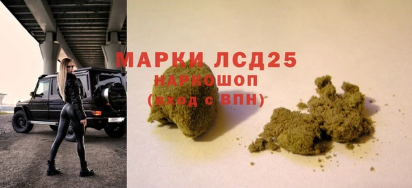 ECSTASY Покачи