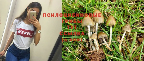 гашишное масло Абаза