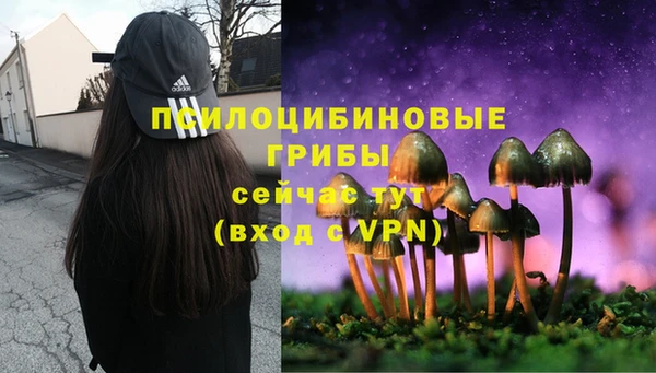 прущая мука Абдулино